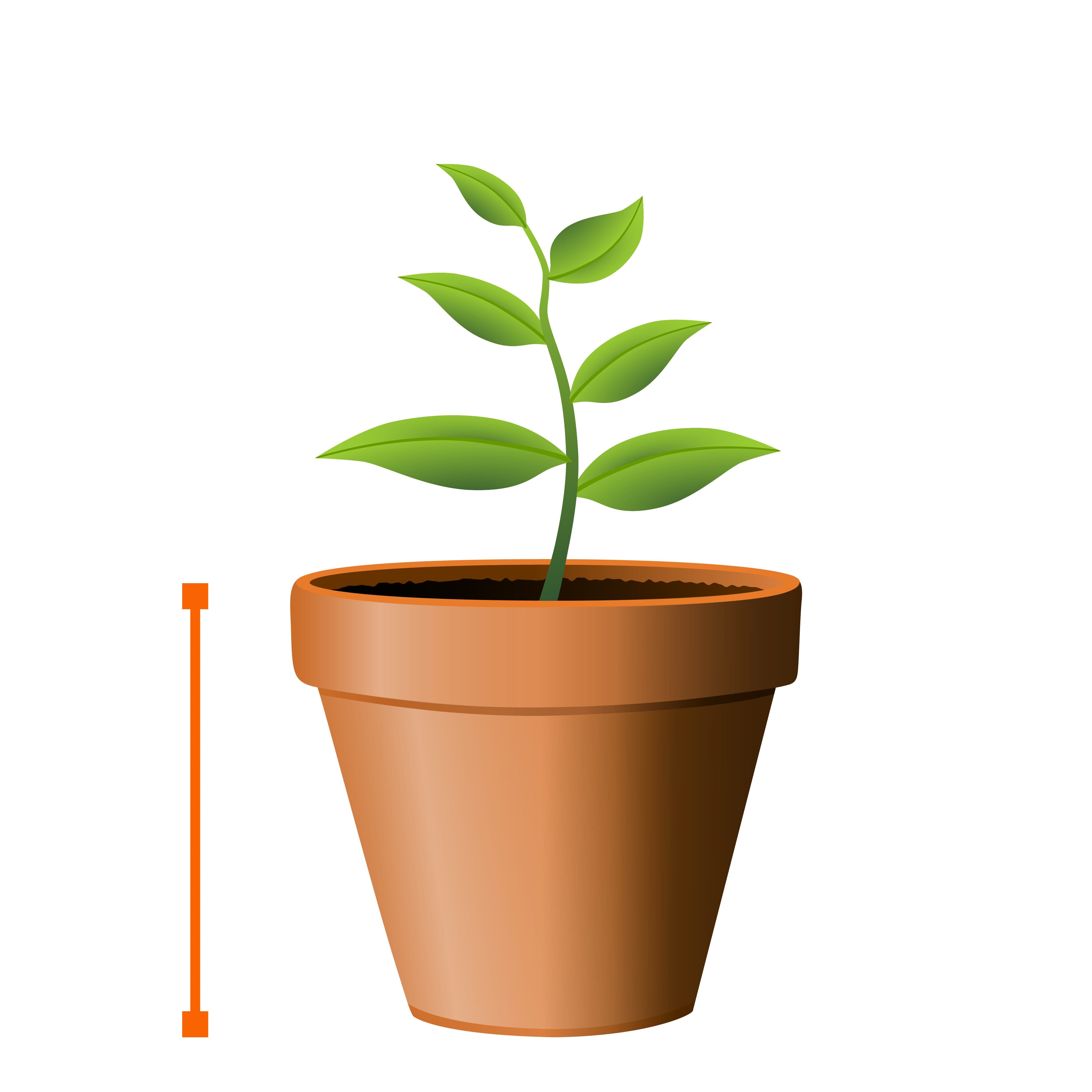 9474469-d28o-planters-visnav--